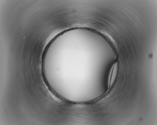 X0000089900894200707262248