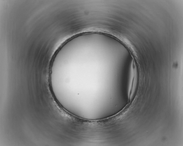 X0000089900896200707262248