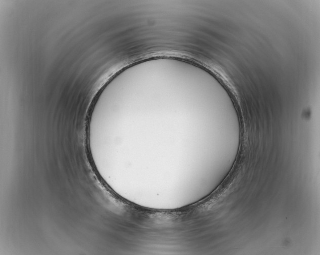 X0000089900898200707262248