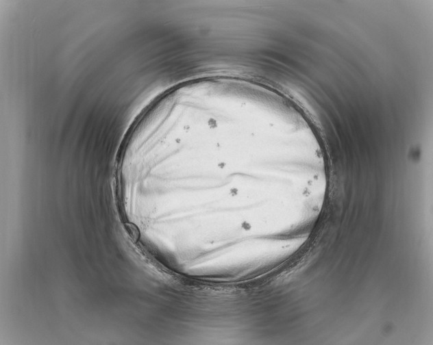 X0000089900899200707262248