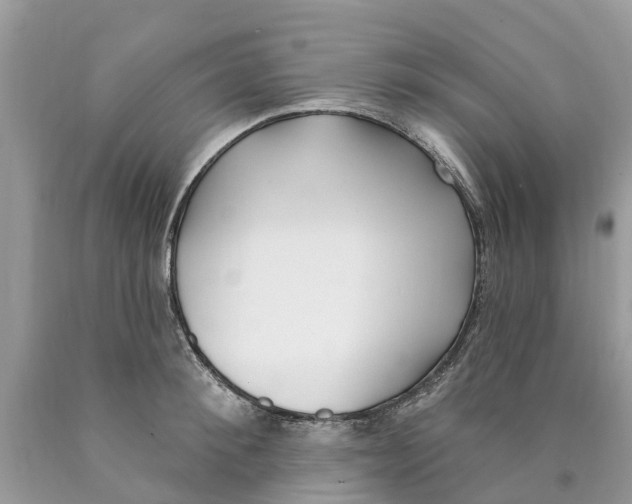 X0000089900900200707262248