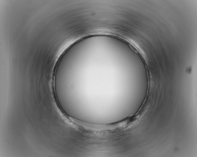 X0000089900901200707262248