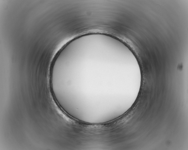 X0000089900902200707262248