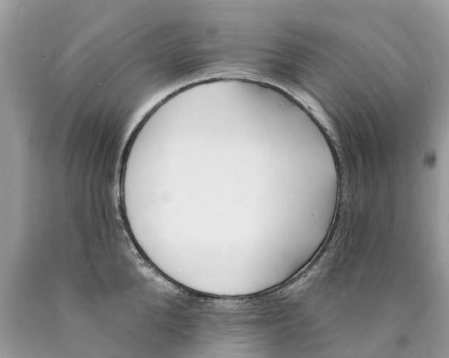 X0000089900904200707262248