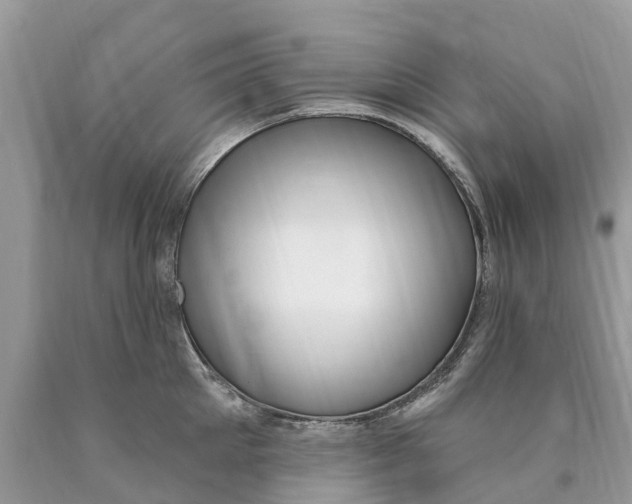 X0000089900905200707262248
