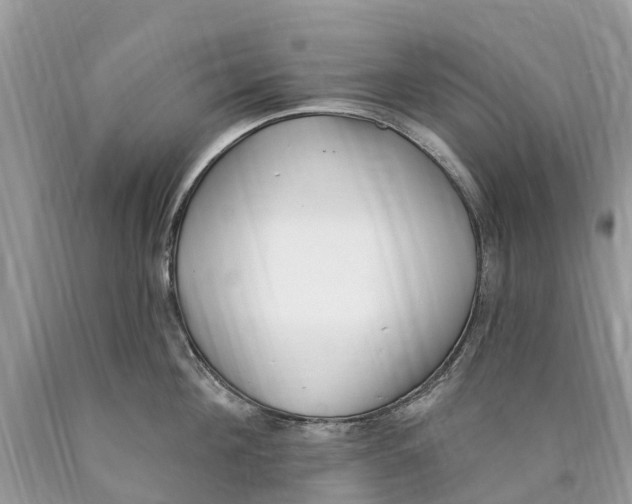 X0000089900908200707262248