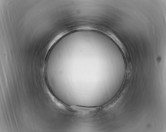 X0000089900909200707262248