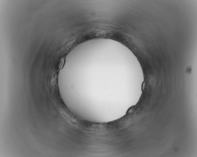 X0000089900914200707262247