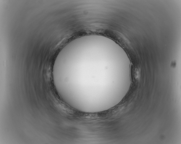 X0000089900915200707262247