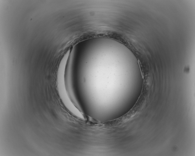 X0000089900916200707262247