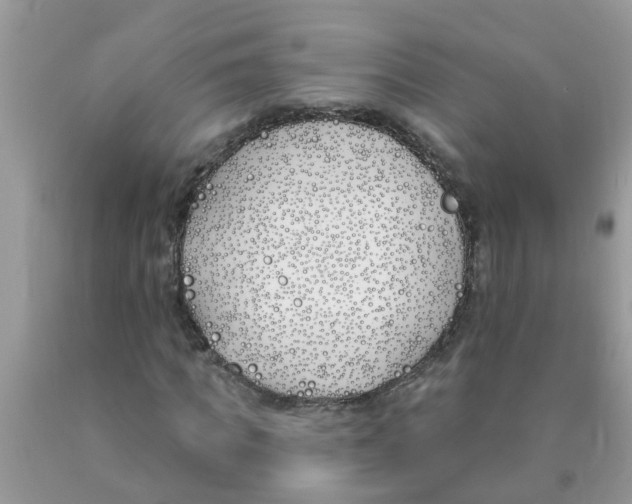 X0000089900917200707262247