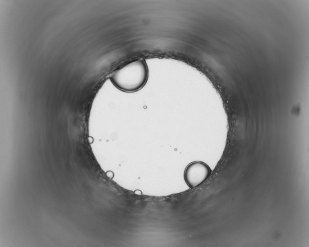 X0000089900918200707262247