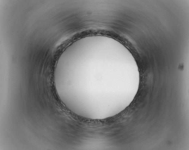 X0000089900919200707262247