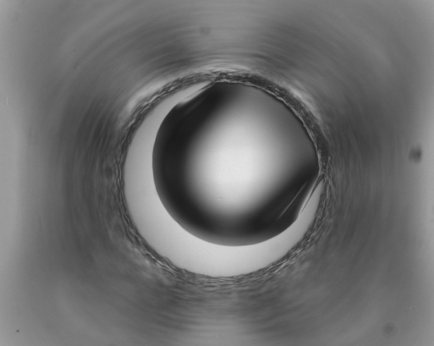 X0000089900920200707262247