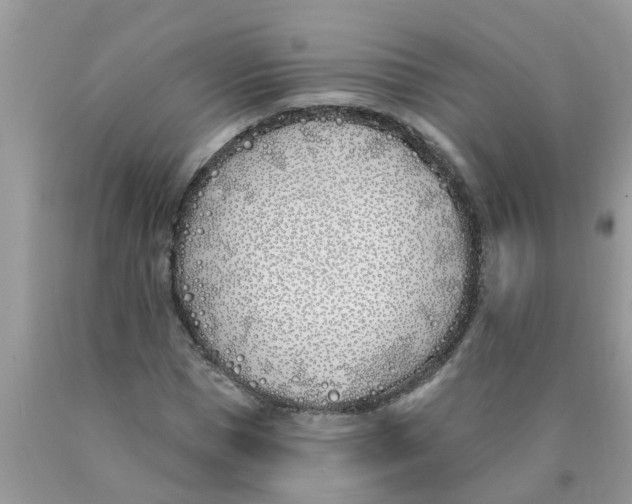 X0000089900921200707262247