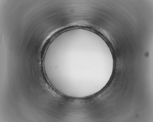 X0000089900923200707262247