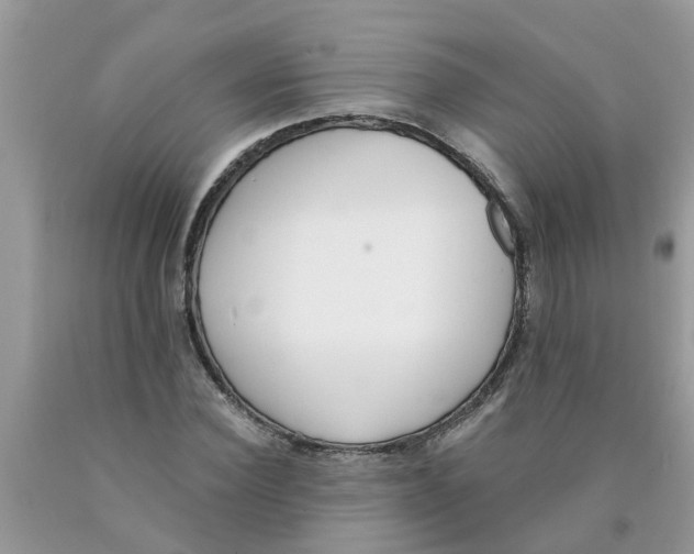 X0000089900924200707262247