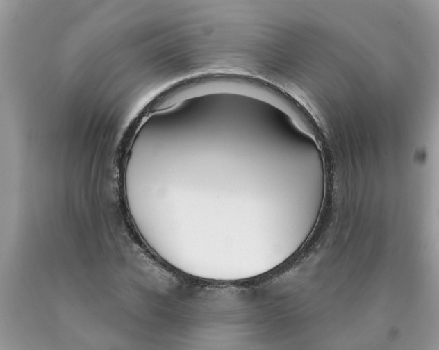 X0000089900926200707262247