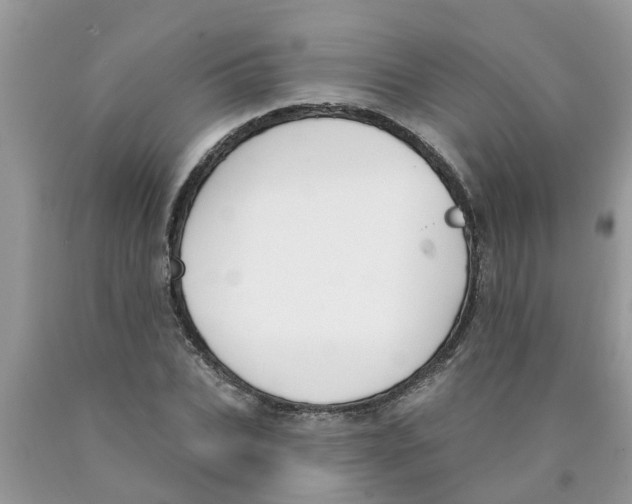 X0000089900927200707262247
