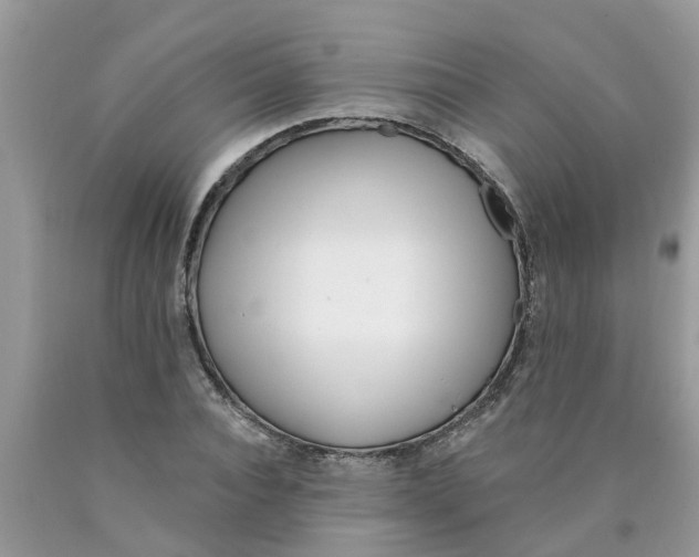 X0000089900928200707262247