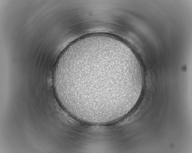 X0000089900929200707262247