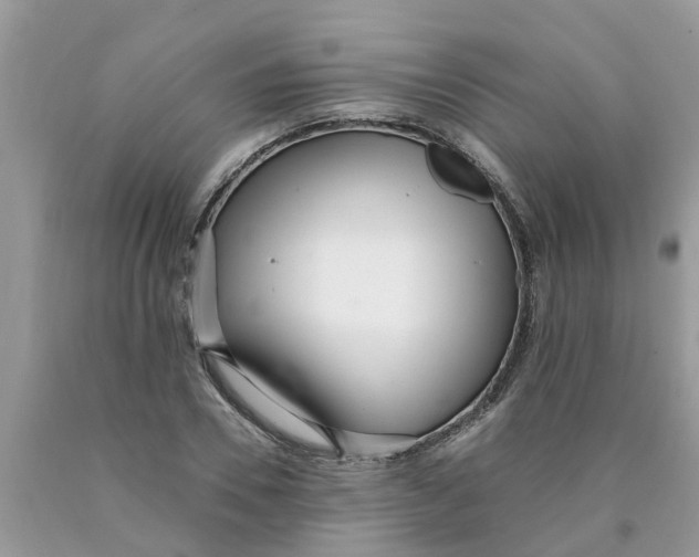 X0000089900930200707262247