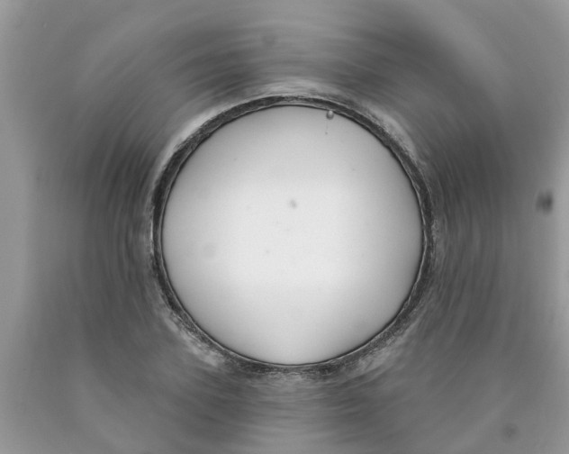 X0000089900931200707262247
