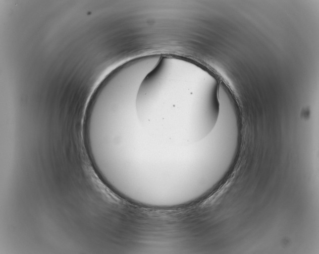 X0000089900932200707262247