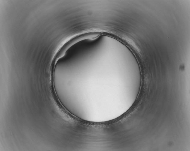X0000089900934200707262247