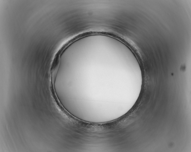 X0000089900935200707262247
