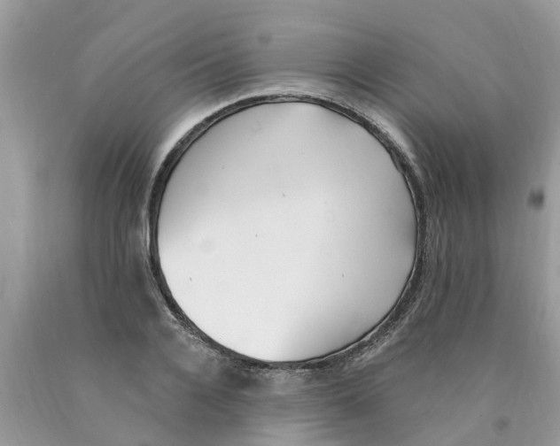 X0000089900936200707262248