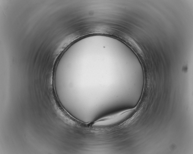 X0000089900938200707262248