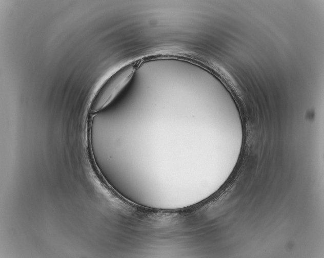 X0000089900939200707262248