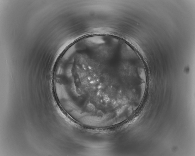 X0000089900941200707262248
