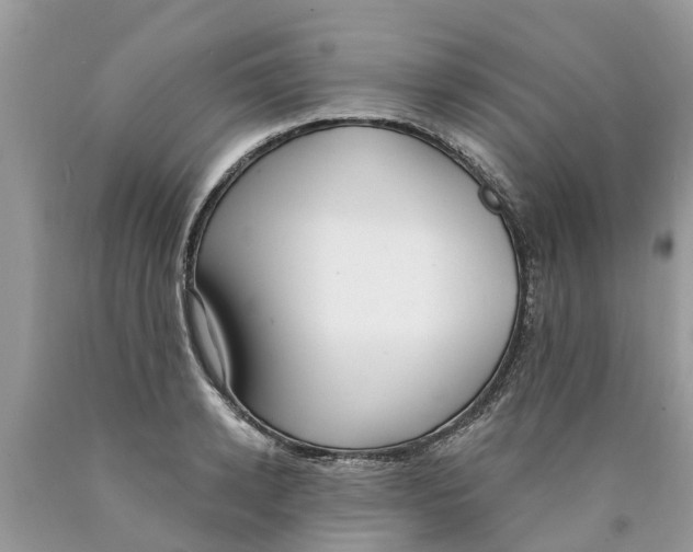X0000089900942200707262248