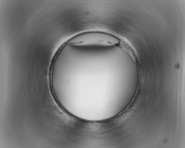 X0000089900943200707262248