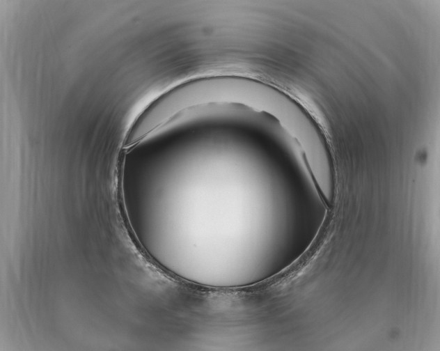 X0000089900944200707262248