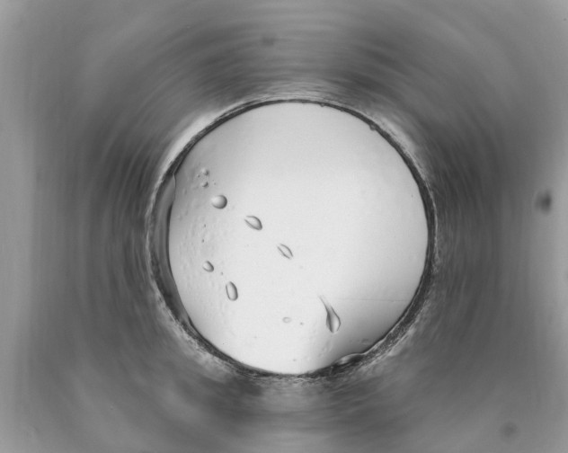 X0000089900949200707262248