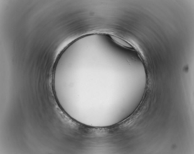 X0000089900952200707262248