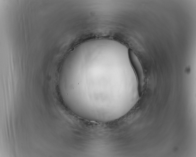 X0000089900961200707262247