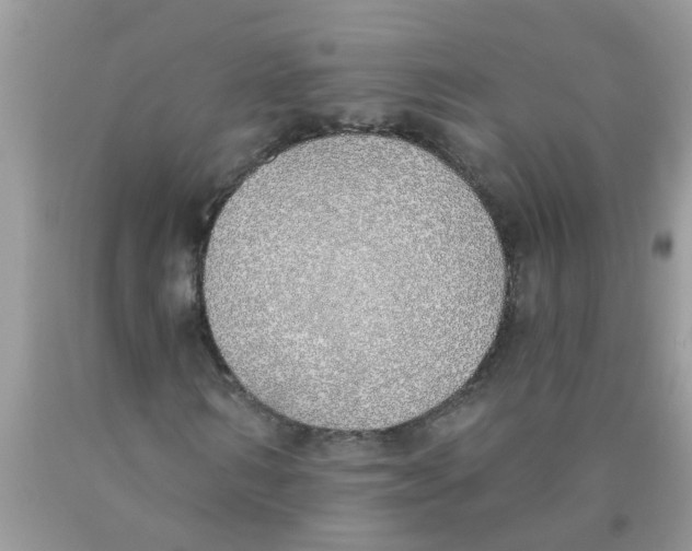 X0000089900962200707262247