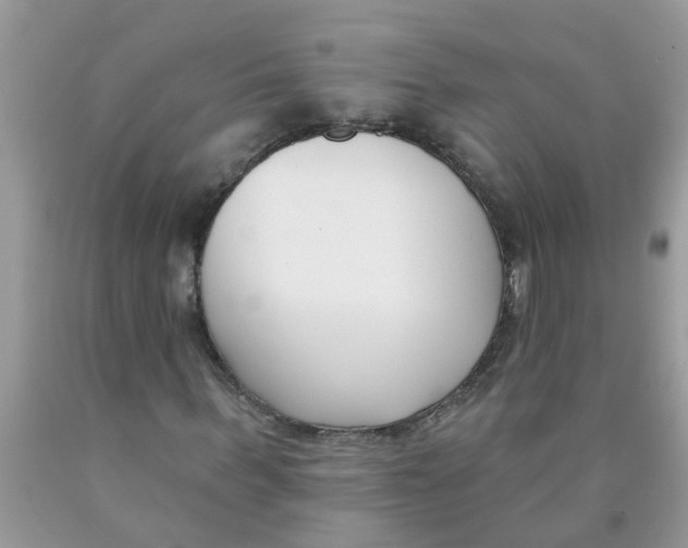 X0000089900963200707262247