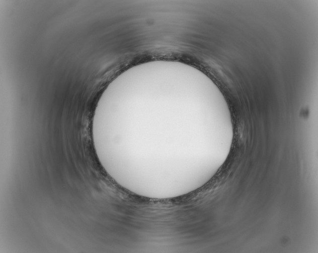 X0000089900964200707262247