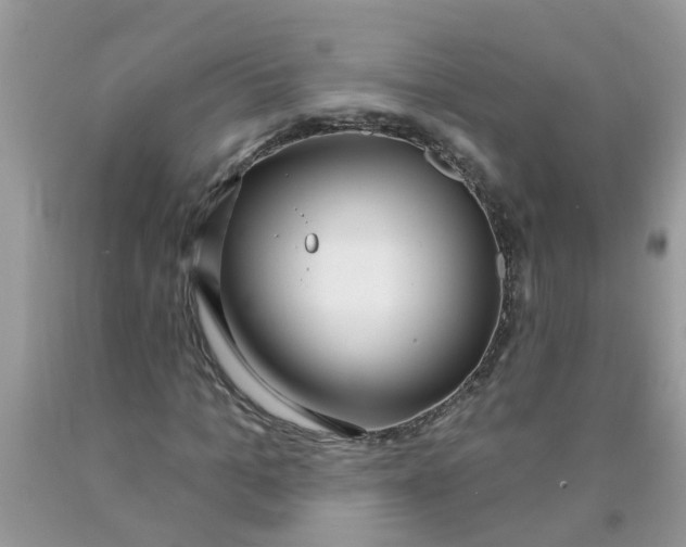 X0000089900965200707262247
