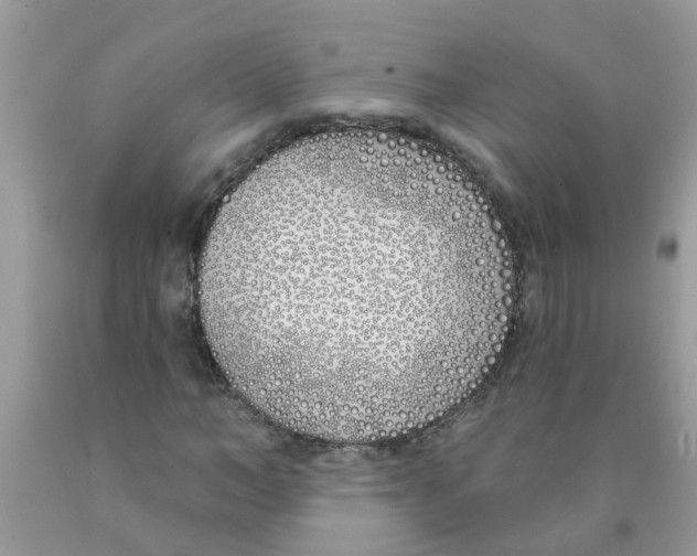 X0000089900966200707262247