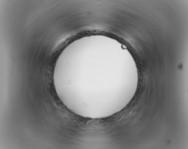 X0000089900967200707262247