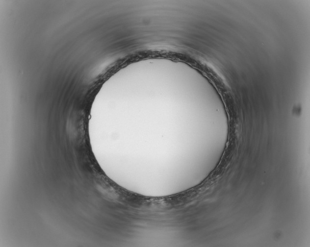 X0000089900968200707262247