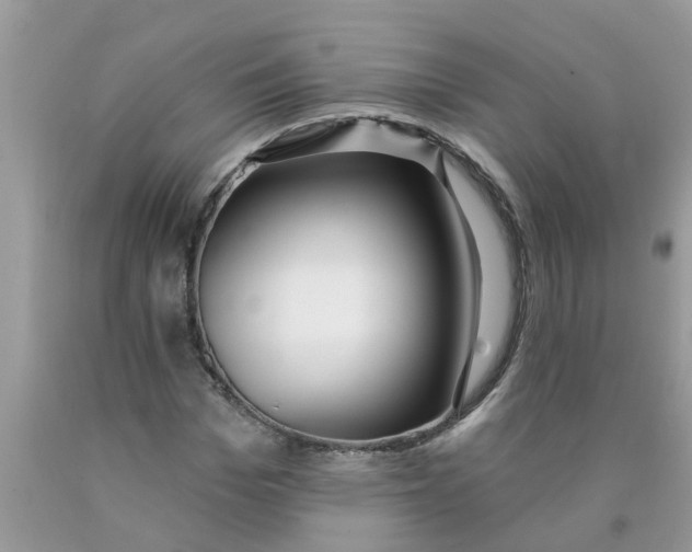 X0000089900969200707262247