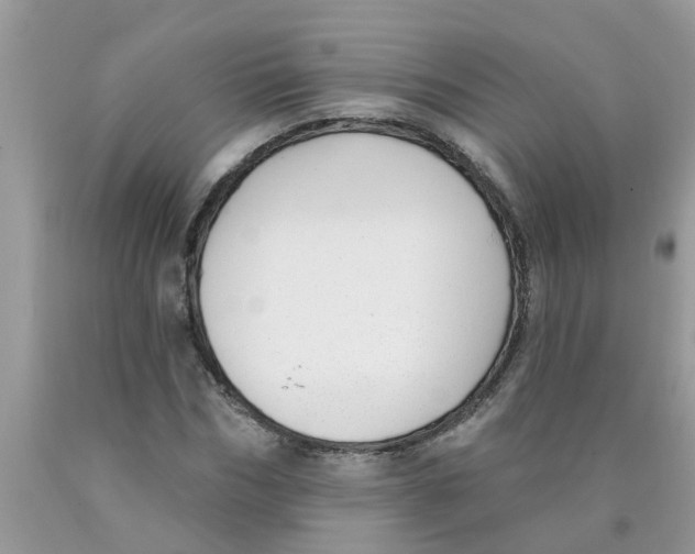 X0000089900970200707262247