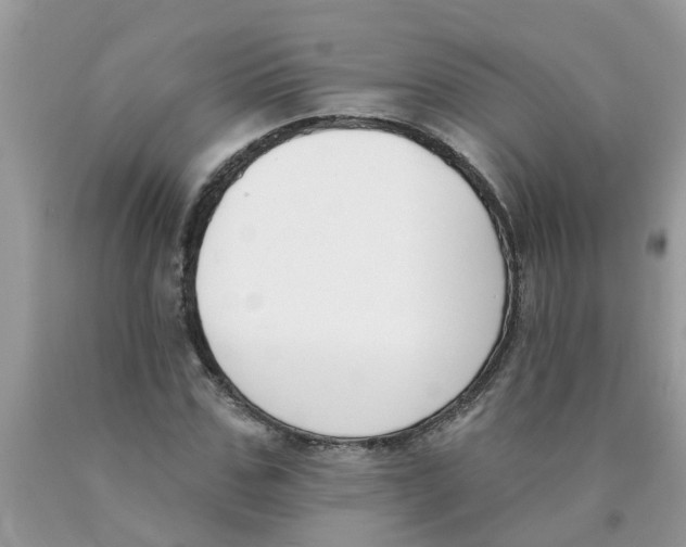 X0000089900971200707262247